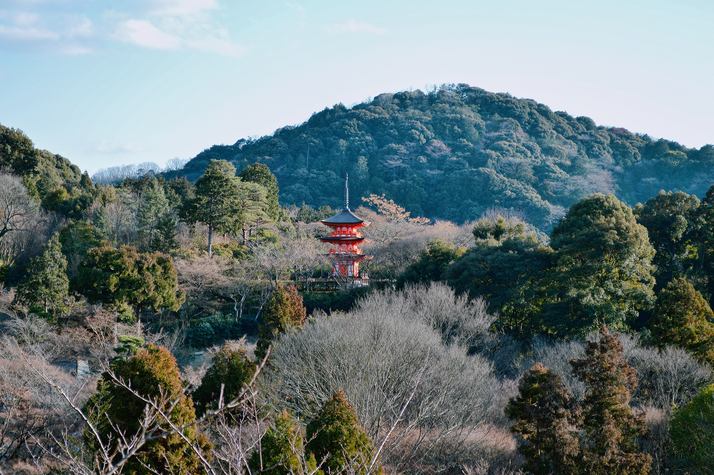 [Imagen: kyoto__from_kiyomizu_temple__by_mmalkavian-d794j9y.jpg]