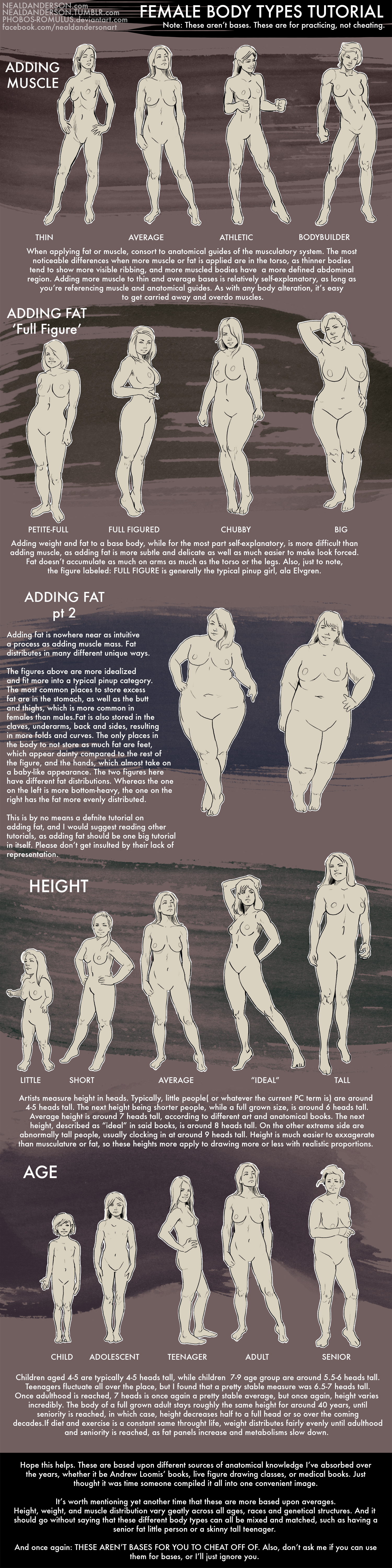 Female Body Types Tutorial by Phobos-Romulus on DeviantArt