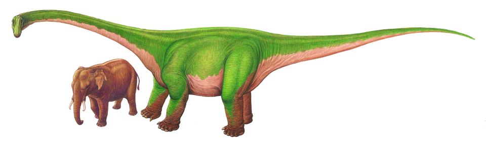 Resultado de imagen de phuwiangosaurus