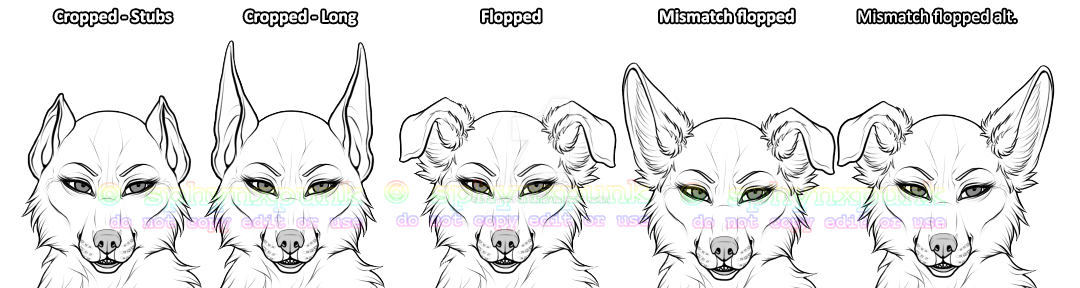 anthrocanine_ears_teaser_by_sphynxpunk-d9y3lzc.png
