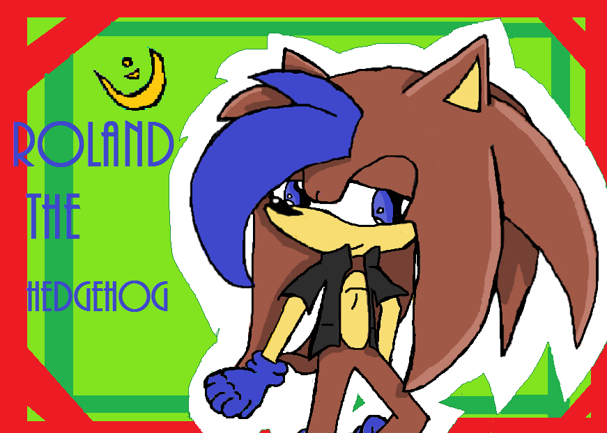 roland_the_hedgehog_by_neon_talon_claw-d