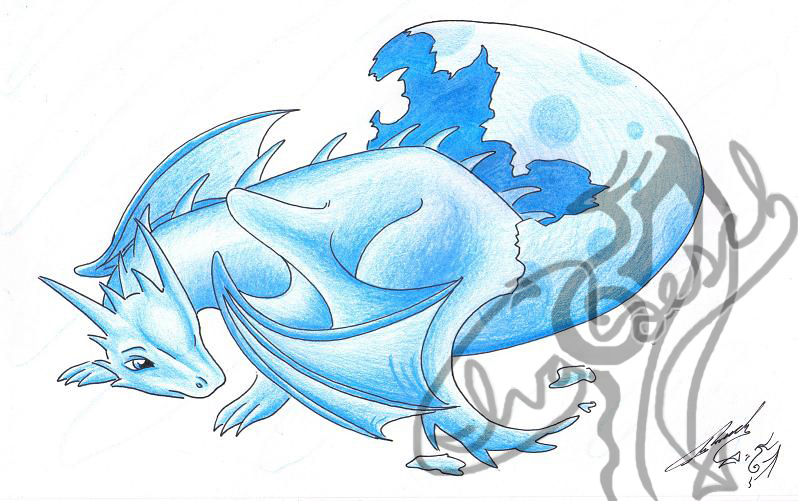 baby ice dragon coloring pages - photo #36