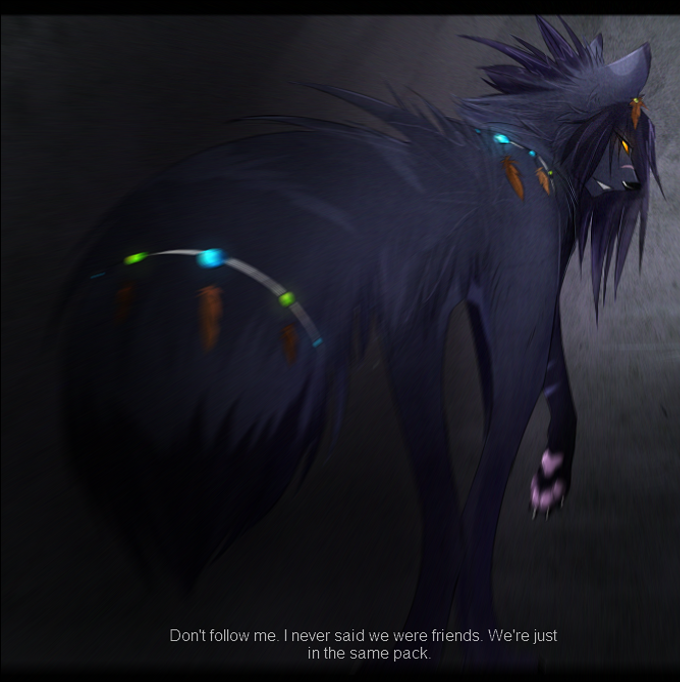 don_t_follow_me_by_theshadowedgrim-d6dsbw3.png (680×682)