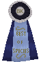 BeastKeeper Best Of Species Ribbon