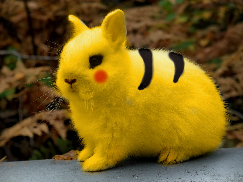 my_version_of_a_pikachu_bunny_by_bubblefox93-d6h8cgf.jpg
