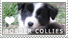 border_collie_puppy_love_stamp_by_cloudr