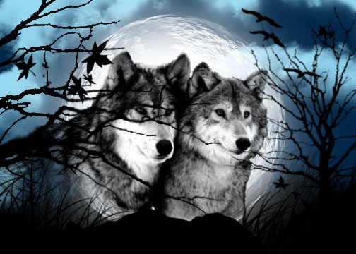 moon_wolves_by_blanco_lobo12-d34ckyb.jpg