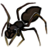 Antmimicspider by oOIceFangOo