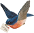 Big Blue Bird mail Icon