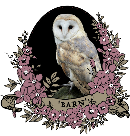 barn_by_myserpentine-d9c25bt.png