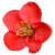 Flower icon.38