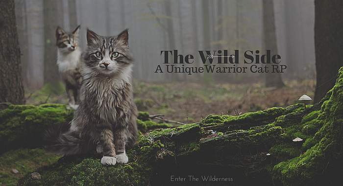 [Image: thewildside_by_tinykiing-dbivst8.png]