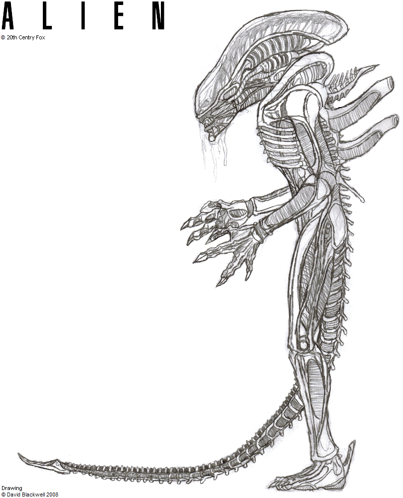 xenomorph drone coloring pages - photo #13