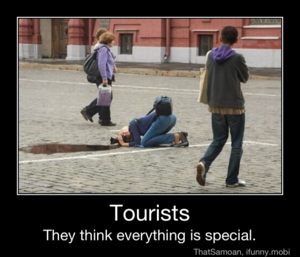 Image result for silly tourists