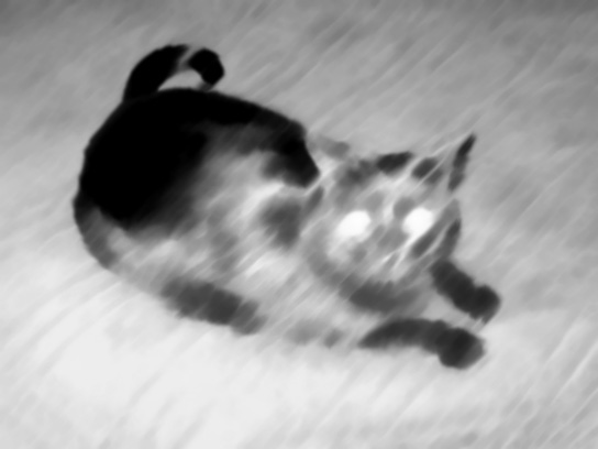 black cat horror by electricRich28 on DeviantArt